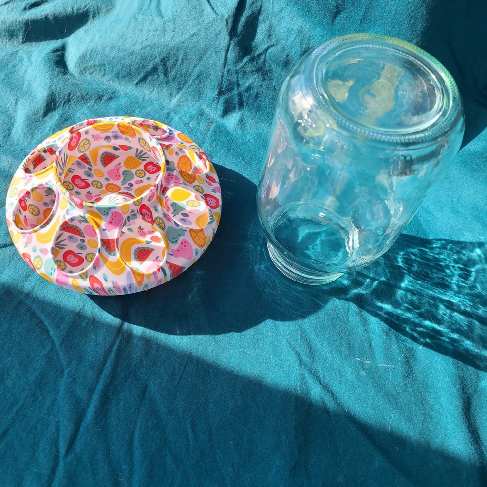Impeckables Chicken Chick Feeder Base Multicolor Fruit Print with Glass Jar  Set